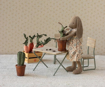 Miniatuur bloempot met cactus